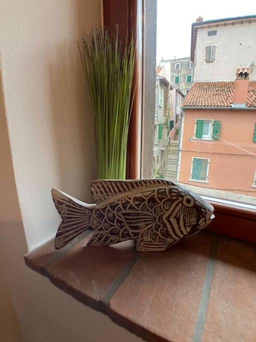Piccolo Nido Appartement Rovinj Buitenkant foto